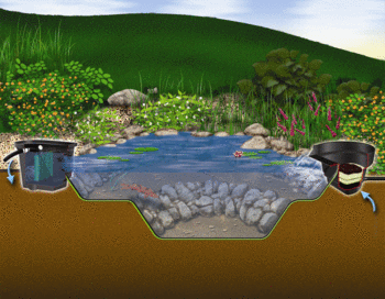 DIY Backyard Pond Kits  (3 sizes) | Pond Kits