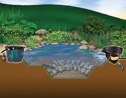 Small Pond Kit  8' x 11' | Pond Kits