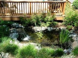 Medium Pond Kit  11' x 16' | Pond Kits