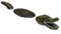  Floating Alligator Decoy | Garden Decor