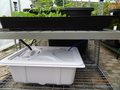 Flood & Drain Seedling-Propagation Tray and Reservoir